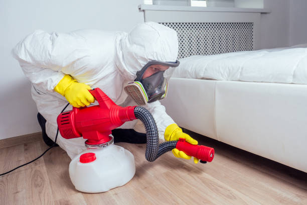 Best Pest Exclusion Services  in Maryville, MO